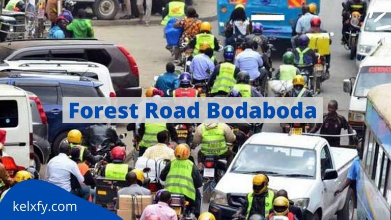 Bodaboda Forest Road Video – All Information