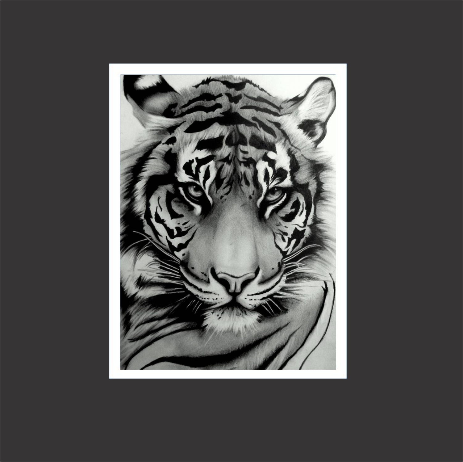 Tigerwhite1