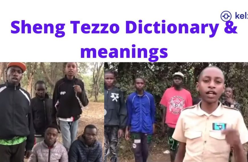 Blog 5 Sheng Tezzo Dictionary & meanings