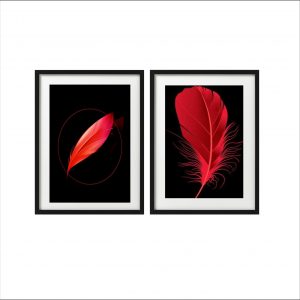 Red feathers theme picture frames