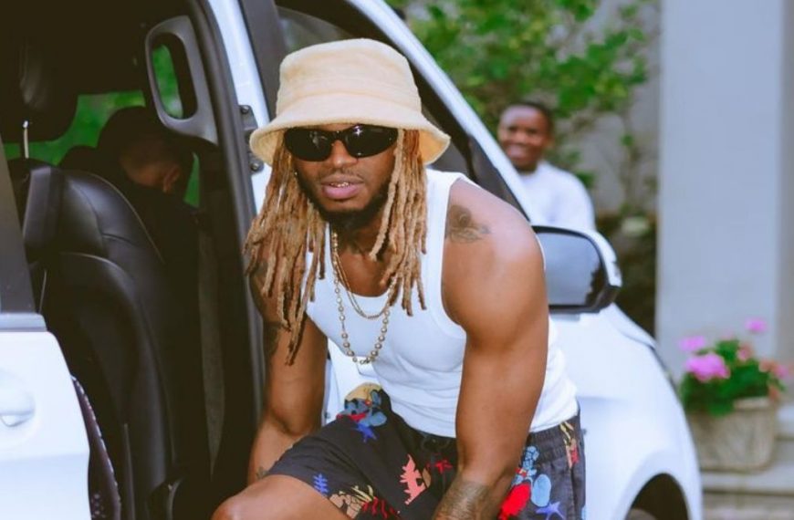 Diamond Platnumz - Yatapita English Translation & Meaning
