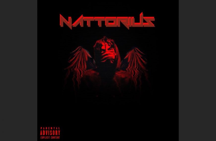 Natty Nattorious Album review & tracklist