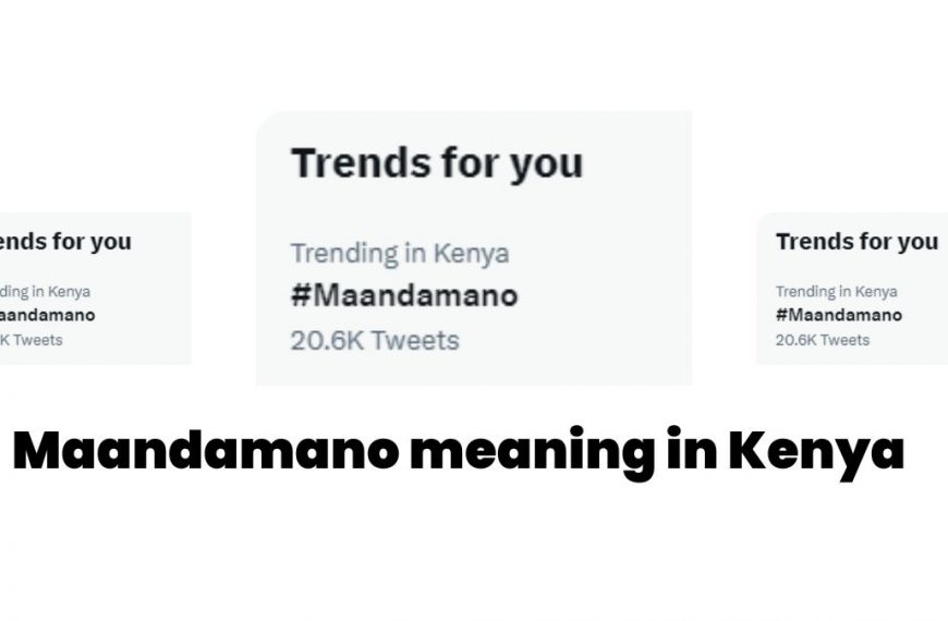 Maandamano meaning in Kenya