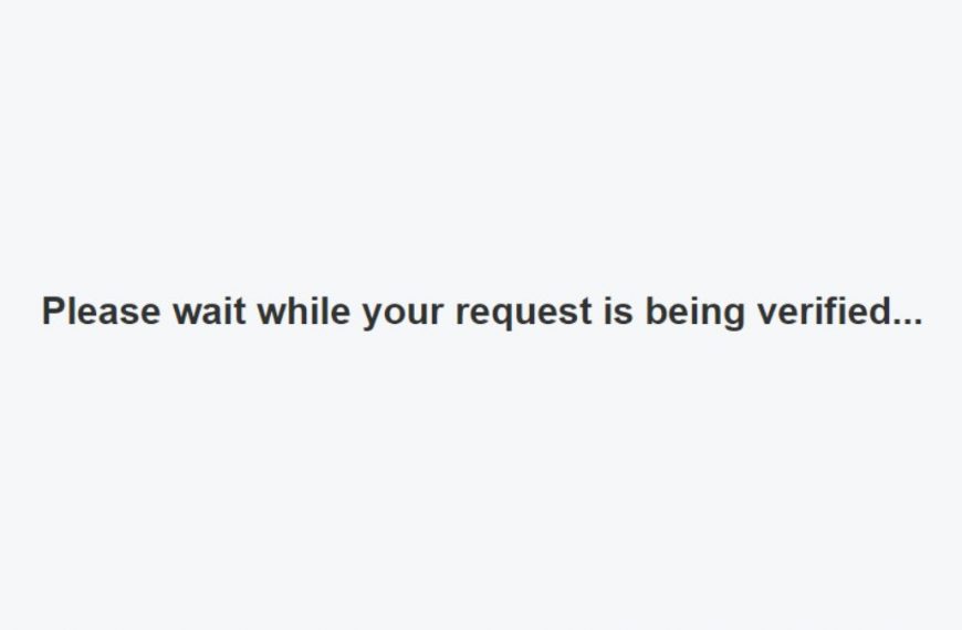 Please wait while your request is being verified explained