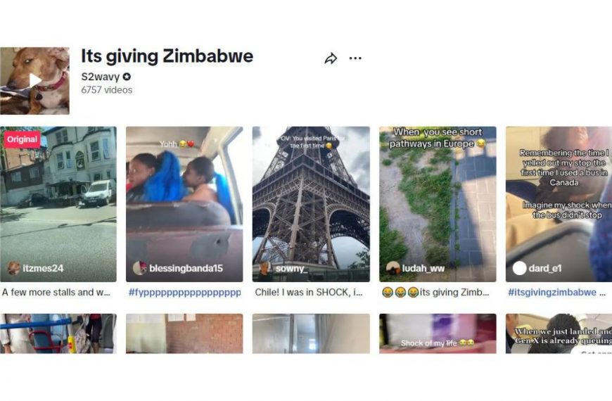 It's giving Zimbabwe meaning and origin