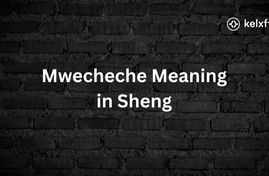 Blog 1 Mwecheche meaning in sheng